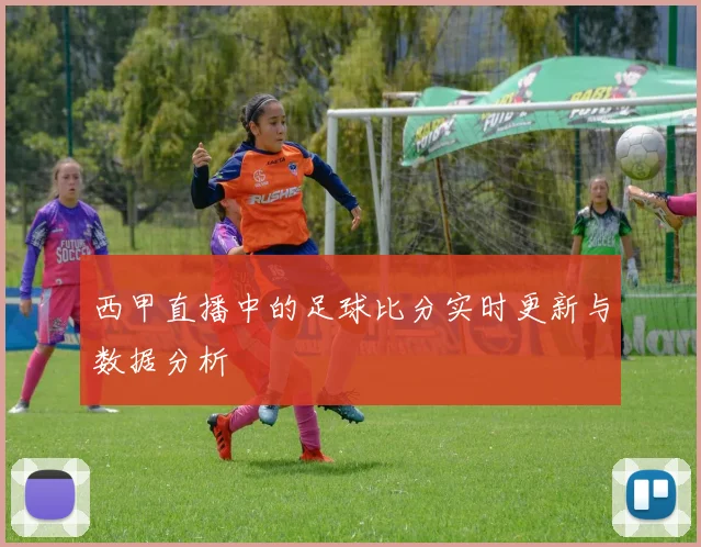 西甲直播中的足球比分实时更新与数据分析