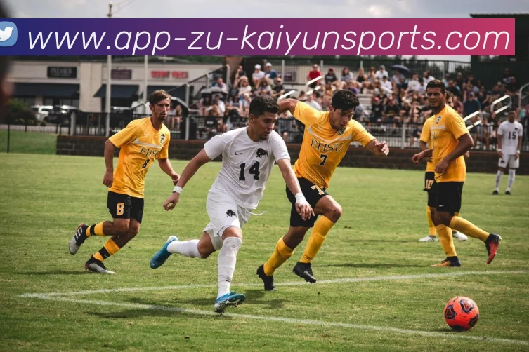 App Interface Preview