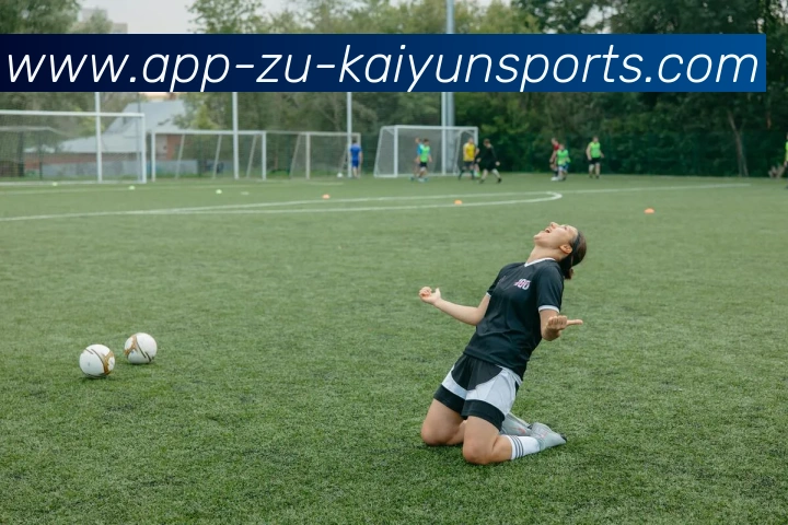 开云体育APP 封面图