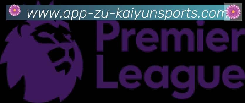 开云APP合作伙伴